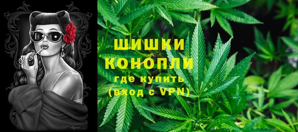мдпв Магас