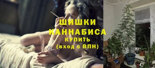 Альфа ПВП Мегион