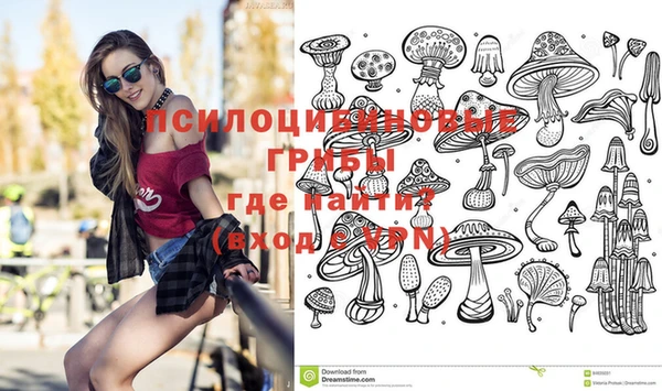 MDMA Premium VHQ Медвежьегорск
