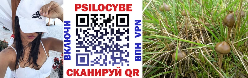 даркнет формула  Знаменск  Галлюциногенные грибы Psilocybine cubensis 