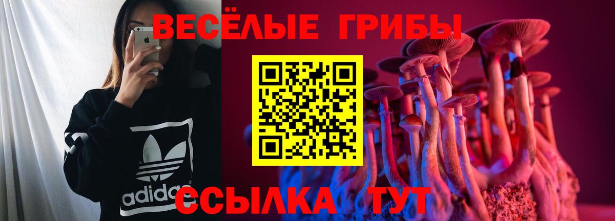 Знаменск  Псилоцибиновые грибы GOLDEN TEACHER  Вход с VPN 